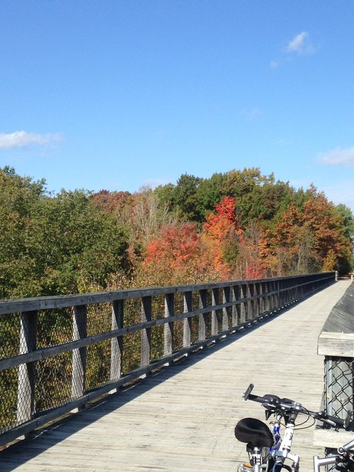 Avoca+treeline+102316