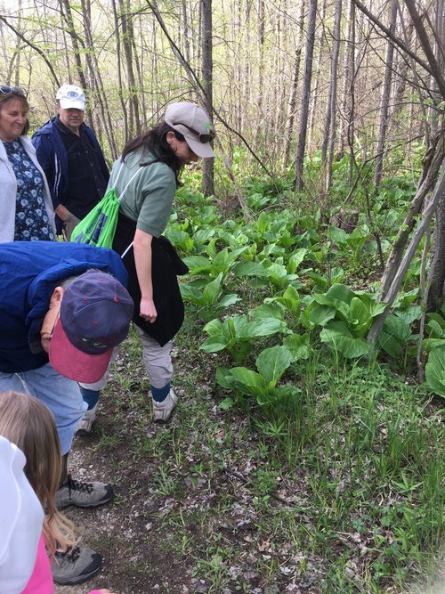 Indian+Springs+hike+Jill+050417