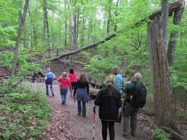 Pack+1+_Highland_Schechter